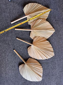 Dried Palm Leaf Fan Stems Set of 4