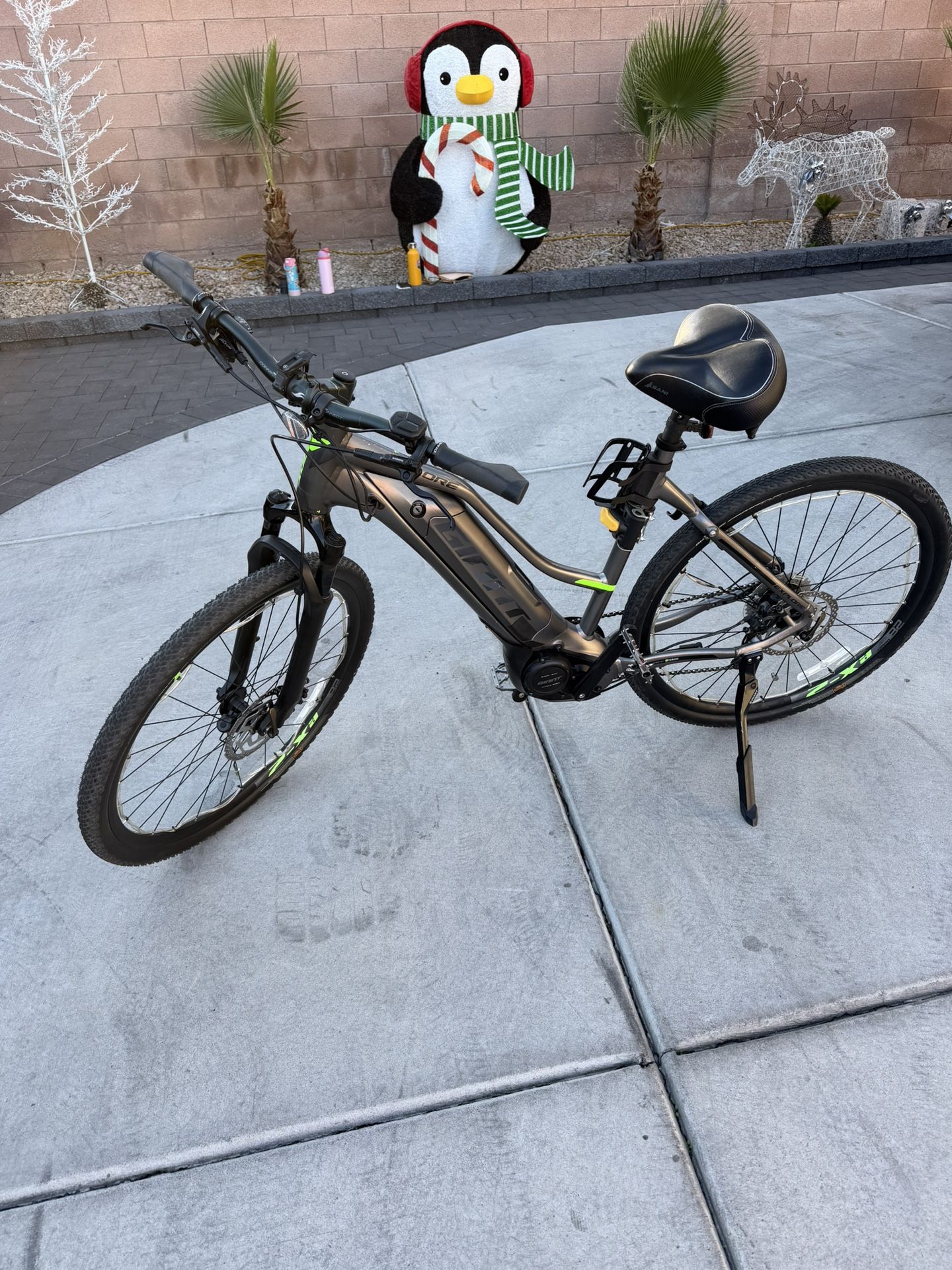 Electric Giant Bicycle