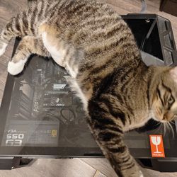 PC 1070ti, i5-9600k, 16gb 3200 ram, 550W power