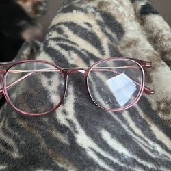 Calvin Klein Eyeglasses…Brand New