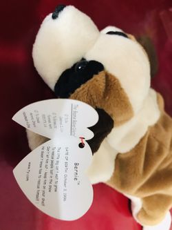 Beanie baby Bernie