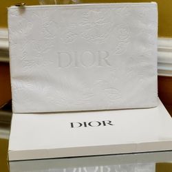 Dior Pouch/CLUTCH 