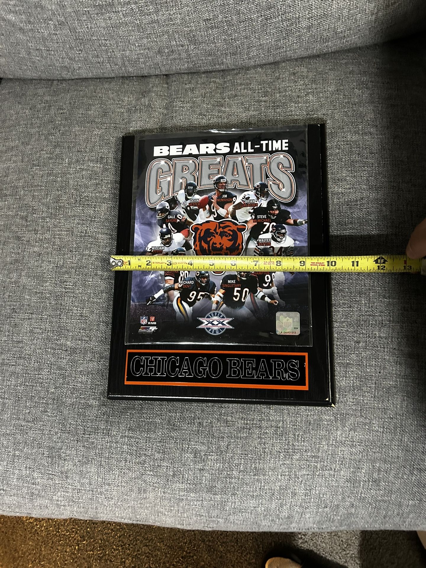 Chicago Bears Frame /picture