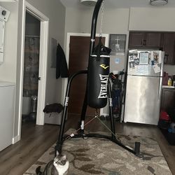 Punching Bag, Stand And Two Sets Of Gloves 