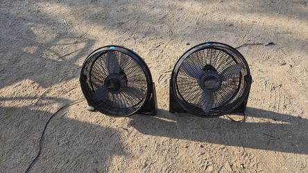 Box fans dog owned