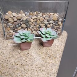 Glass  Vase Decor