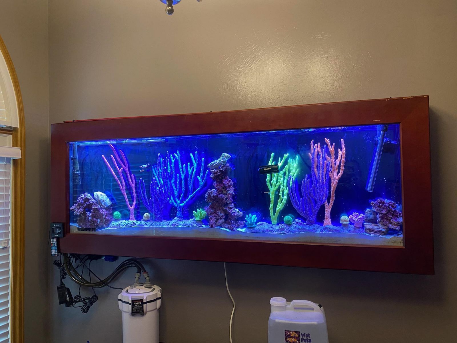 Two Custom Wall Mount Fish/Coral Tanks