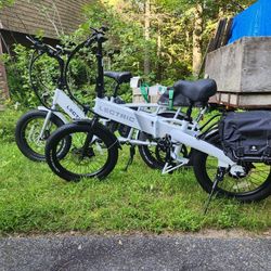 2 Lectric Ebikes