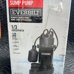 Everbilt 1/3 HP Aluminum Submersible Sump Pump Vertical Switch
