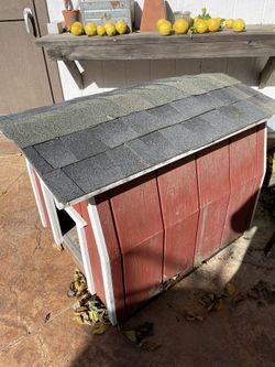 Dog house Thumbnail