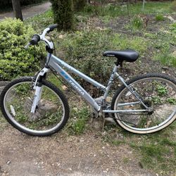 Girls Bicycle