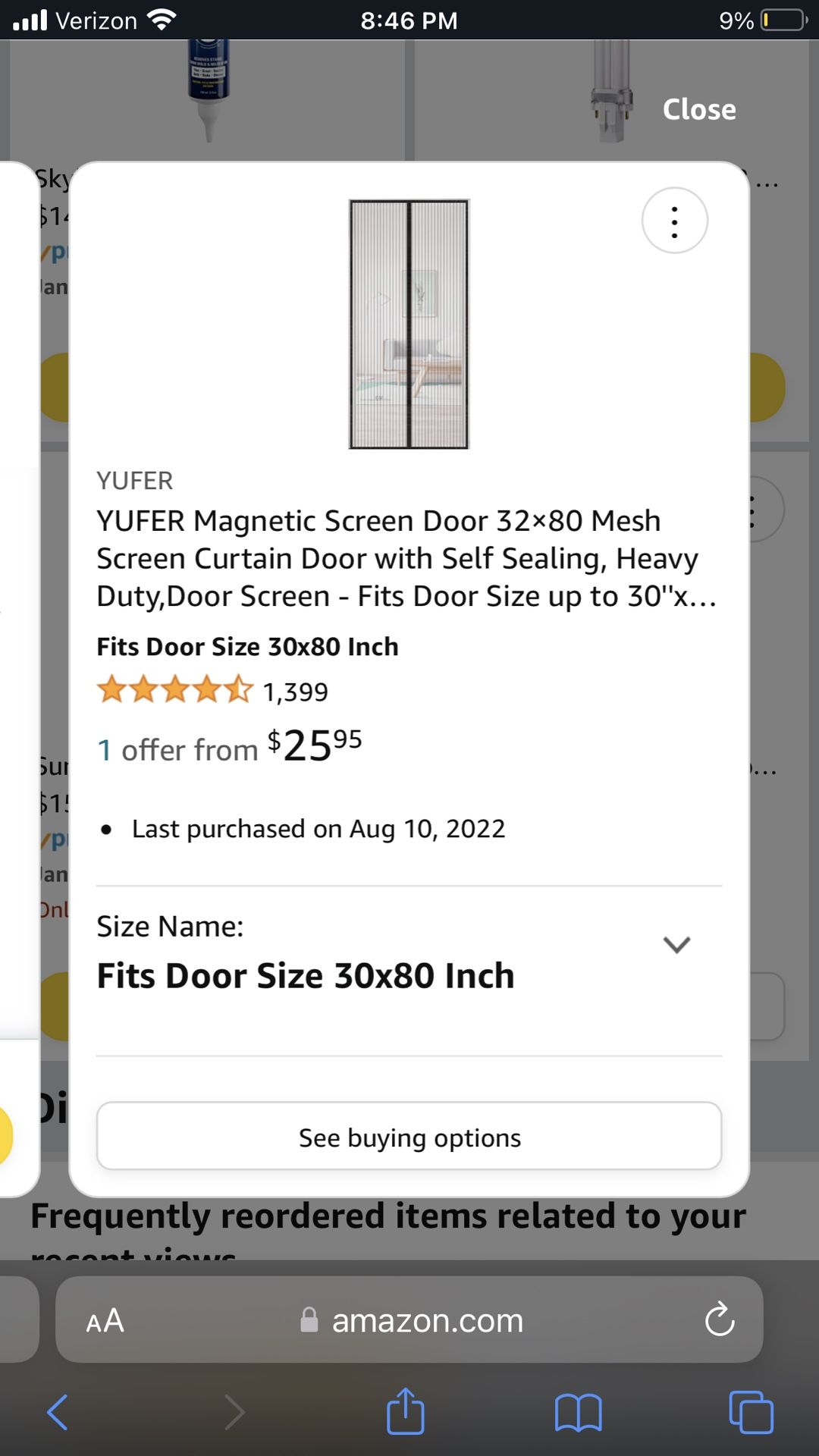 Magnetic Screen Door 