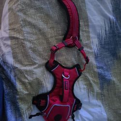 Kong Dog Harness