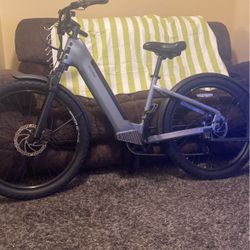 Electric Bicycle 