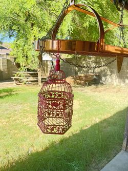 Bird Cage