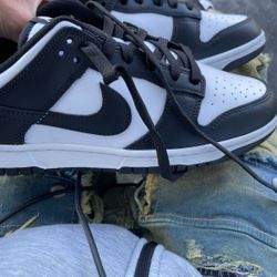 brand new panda dunks