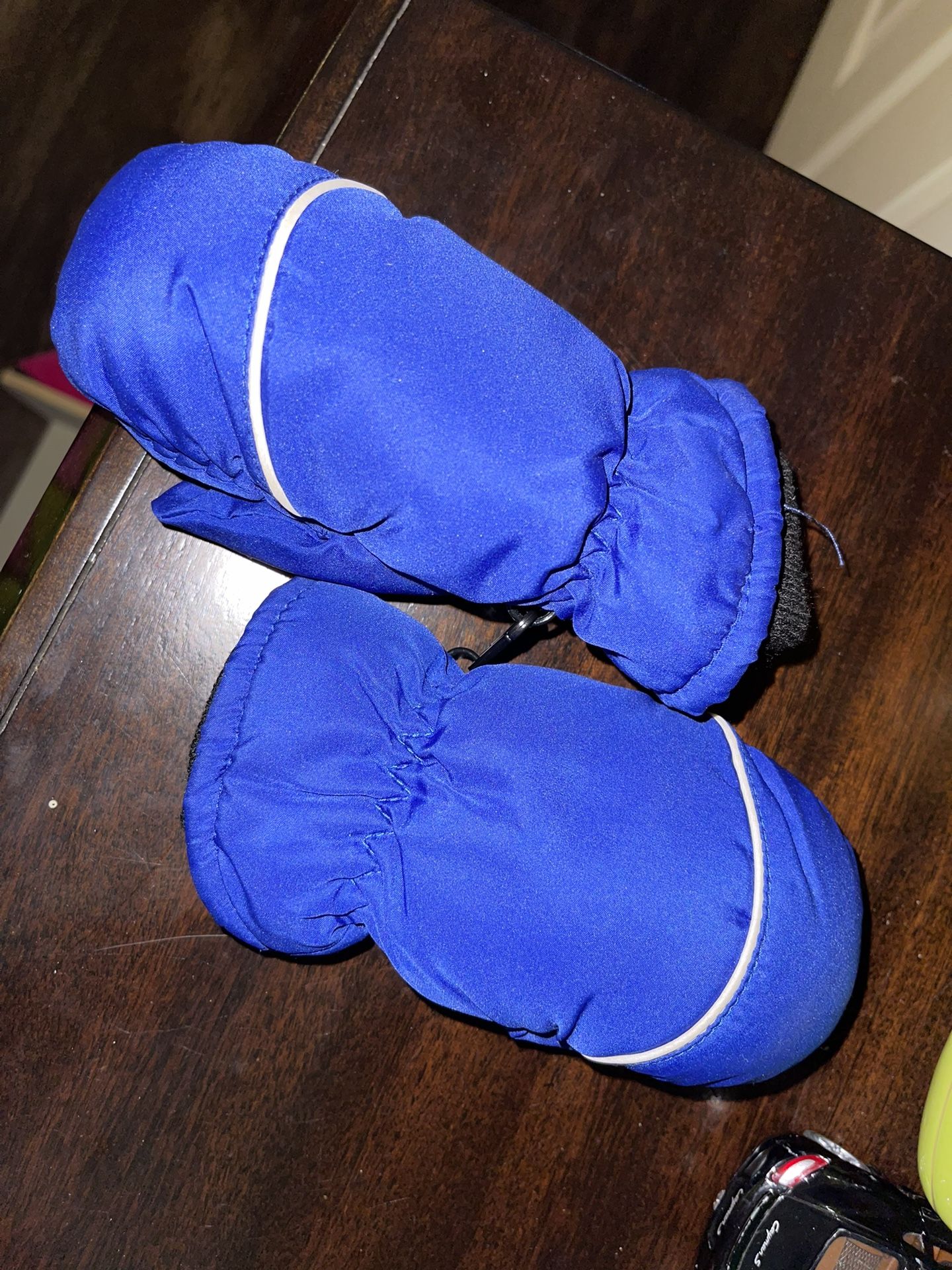 Toddler Snow Gloves