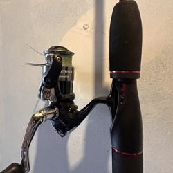 Shimano Sienna