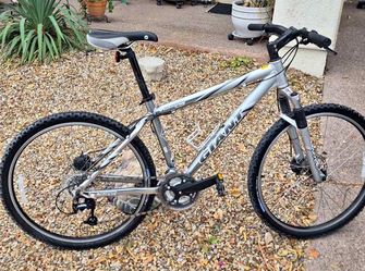 Giant iguana mountain bike