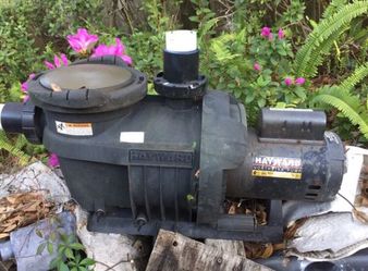 Pool pump 2 HP ! 238