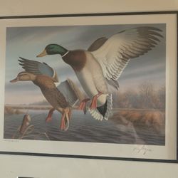 1988 Virginia Duck Stamp Print W/ 2 Stamps