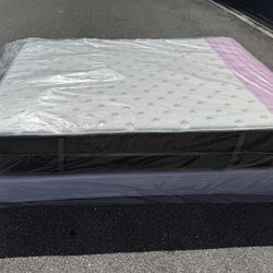 🔥 QUEEN HYBRID SET $269