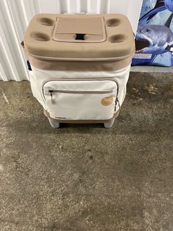 Perfect Cooler suitcase  for picnic