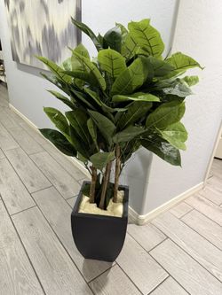 Artificial  Tree in Black Planter, 56 Inch, New 