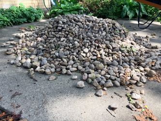 Free River rock
