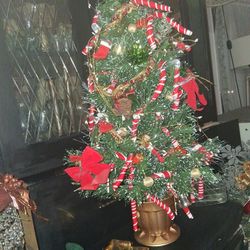 Table  Tree ee Just Made 