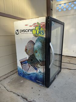 Mini Freezer