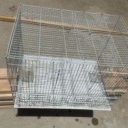 white bird cage 