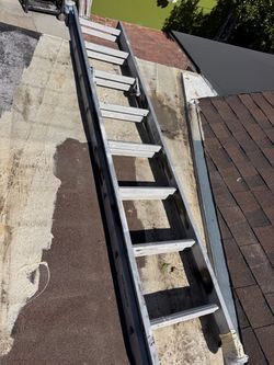 Ladder 16ft werner