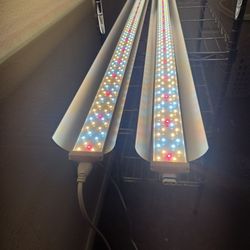 Speeplant Led Grow Lights