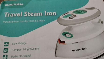 Mini steam iron