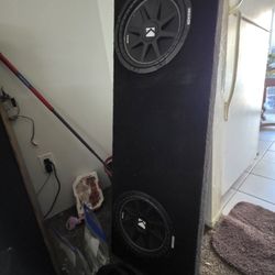 Truck Subwoofer S