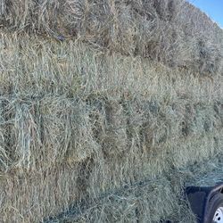 Beautiful 2025 1st Cutting Hay