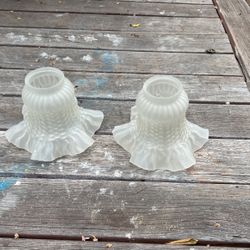 Frosted Flower Shades Antique