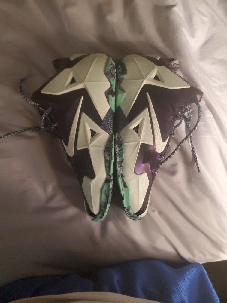 Lebron Gator Kings