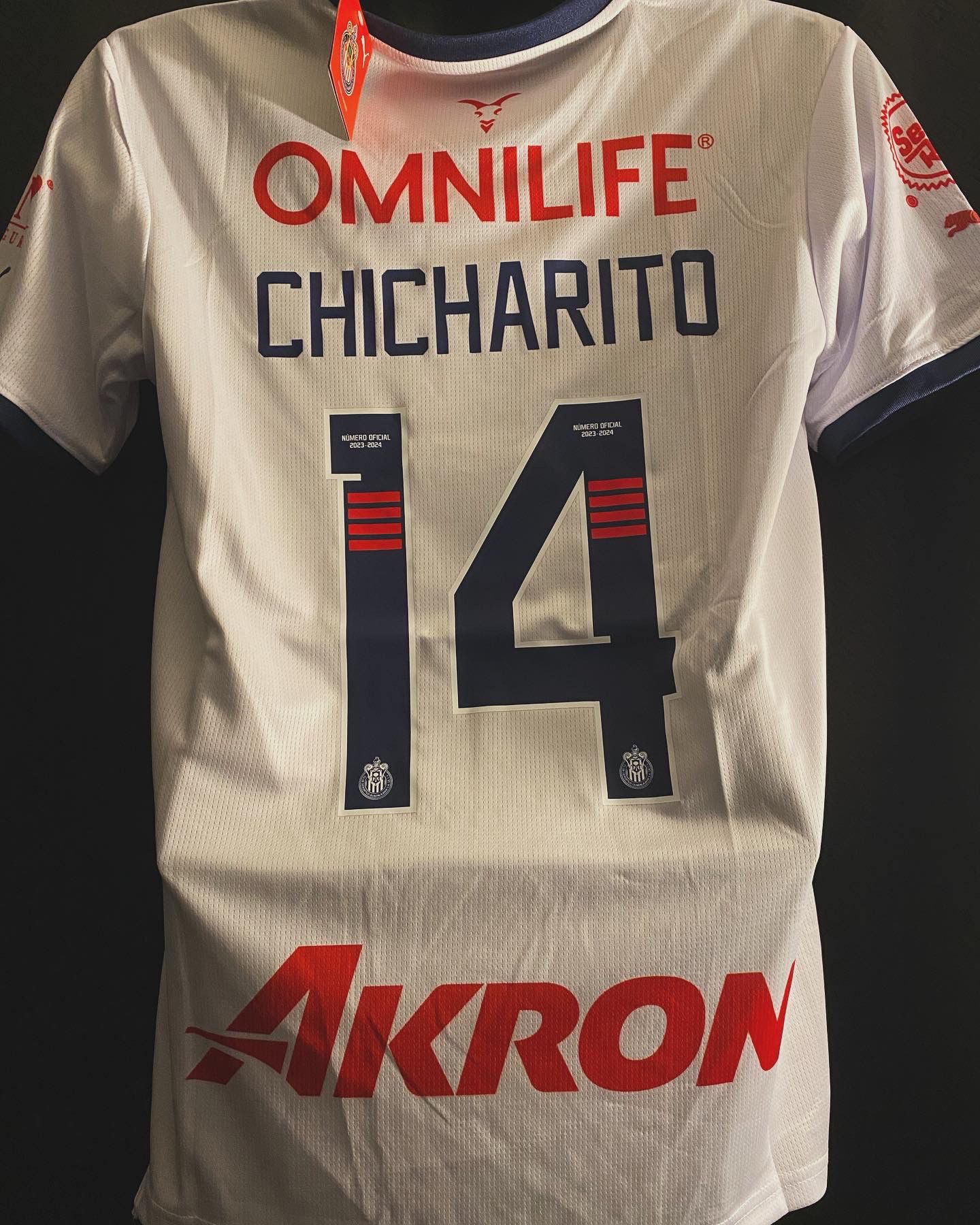 Club Deportivo Guadalajara Chivas Javier Chicharito Hernández #14 Jersey