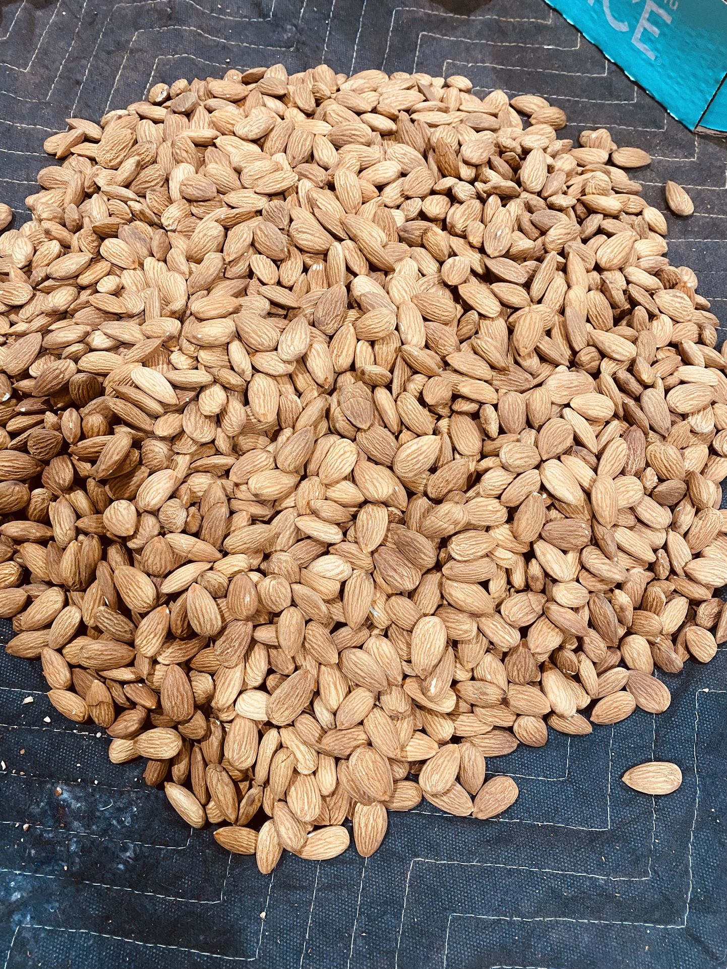 Fresh Almonds