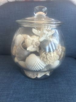 Glass Ginger Jar Full of Sea Shells