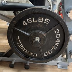45 Weight/plate Pair