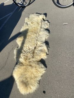 rug