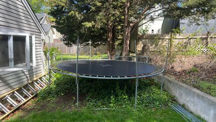 Trampoline FREE