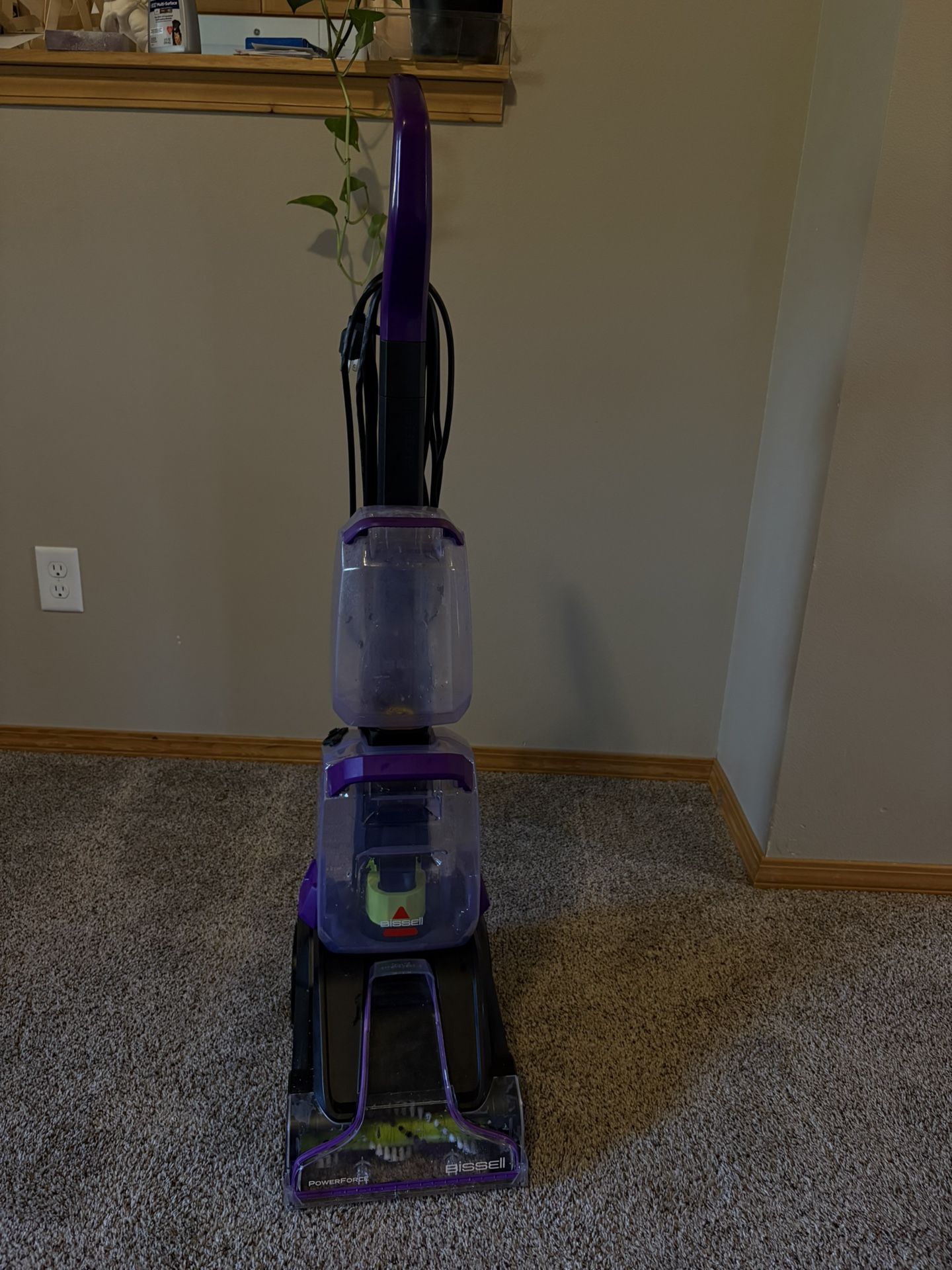 Bissel Carpet Shampooer 