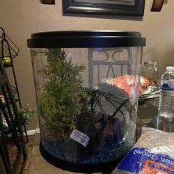 1.5-2 gallon fishbowl