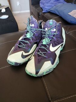 Labron James Nike " DUMBO"  SIZE 11