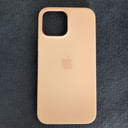 iPhone Pro Max Case