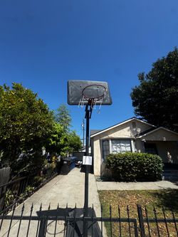 FREE basketball hoop